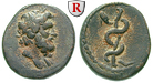 29463 Bronze