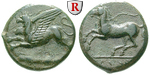 29607 Bronze