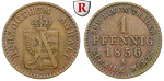 30037 Alexander Carl, Pfennig