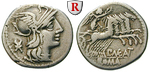 30518 P. Maenius Antiaticus, Dena...