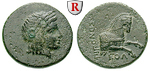 31998 Bronze