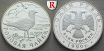 33646 Republik, Rubel