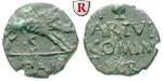 38494 L. Artueius und C. Cominius...