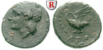 38559 Bronze