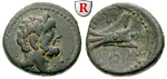 41065 Bronze