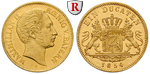 42333 Maximilian II., Dukat