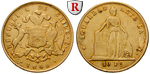 42518 Republik, 10 Pesos