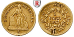 42522 Republik, Peso