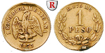 42565 Republik, Peso