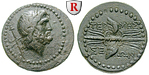 45206 Bronze