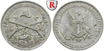 46067 Zinnmedaille