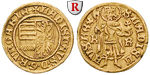 46221 Ladislaus V., Goldgulden