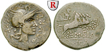 48661 Q. Curtius, Denar
