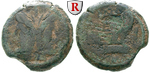 48798 A. Terentius Varro, As