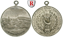 49431 Zinnmedaille