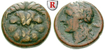 50327 Bronze