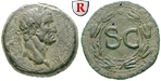 50430 Galba, Bronze