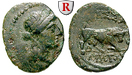 50643 Bronze