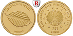 50873 20 Euro