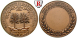 50914 Bronzemedaille