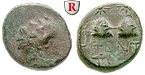 51166 Bronze