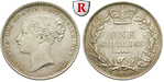 51245 Victoria, Shilling