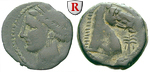 55351 Bronze