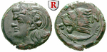 55379 Bronze