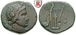 55384 Bronze