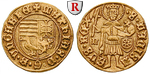 55531 Matthias I. Corvinus, Goldg...