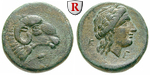 56082 Bronze