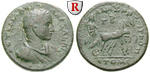 56329 Severus Alexander, Tetrassa...