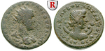 56377 Volusianus, Triassarion