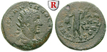 56411 Gallienus, Triassarion