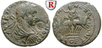 56458 Severus Alexander, Tetrassa...