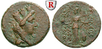 56560 Philopator, Bronze