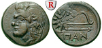 59489 Bronze
