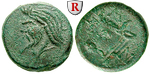 59491 Bronze