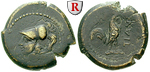 59755 Bronze