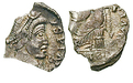 60493 Maximus, Siliqua