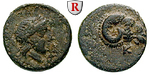 61237 Bronze