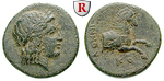 61313 Bronze