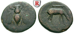61319 Bronze