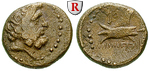 64543 Bronze