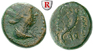 64612 Bronze