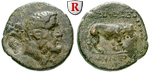 65655 Amyntas, Bronze