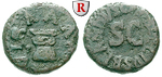 66593 Augustus, Quadrans