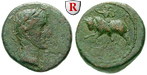 66624 Augustus, Bronze