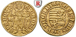74062 Ladislaus V., Goldgulden