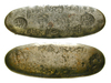 75181 Tenpo, Chogin